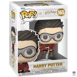 Harry Potter sur Nimbus 2000